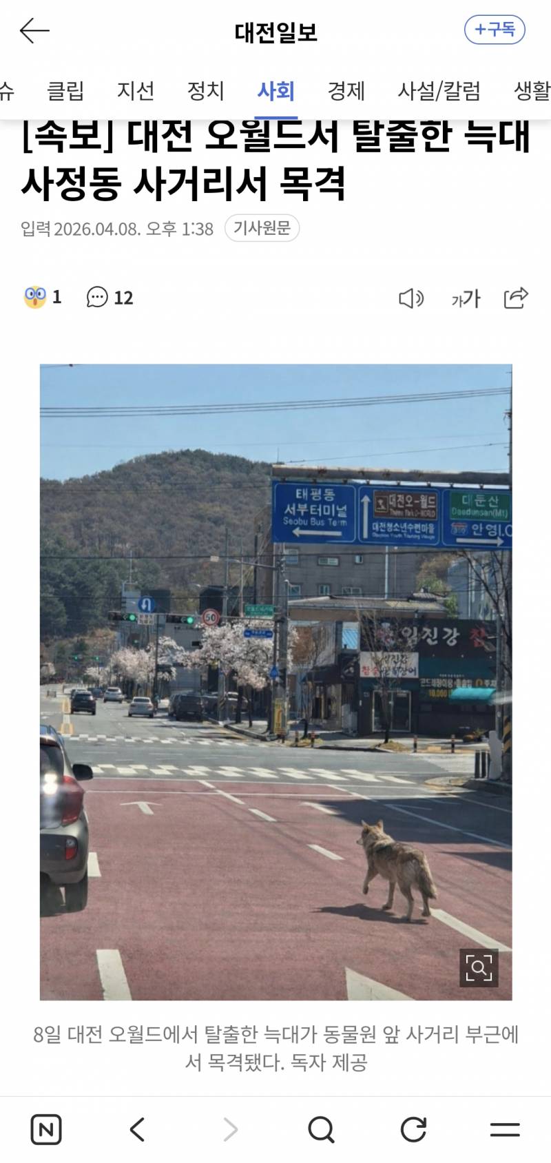 [잡담] 이거 왜케 AI 같지 | 인스티즈