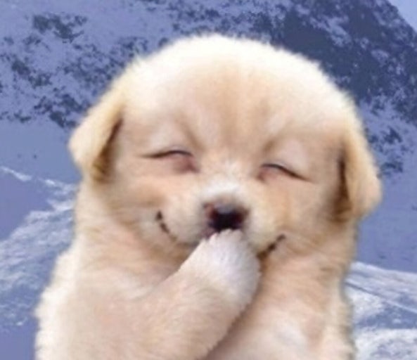 [잡담] 대군부인) 노죽이 | 인스티즈