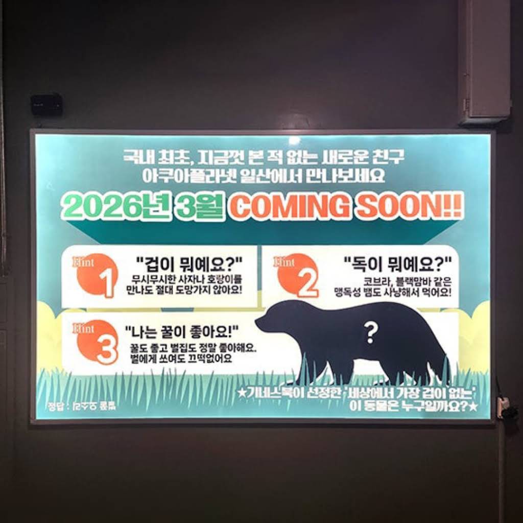 [정보/소식] 일산 아쿠아플라넷에서 벌꿀오소리 공개 예정 | 인스티즈