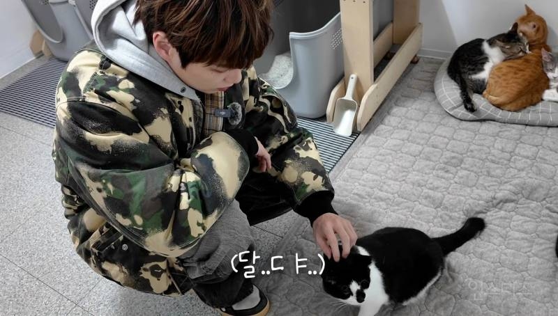 강다니엘 생일에 고양이 모래 공장 견학 + 벤토 모래 기부 | 인스티즈