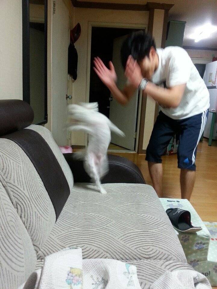 [잡담] 요즘 gtp와 나의 관계 | 인스티즈