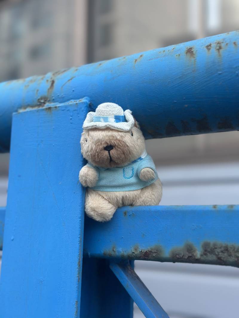 [잡담] 길가다 마주침 | 인스티즈