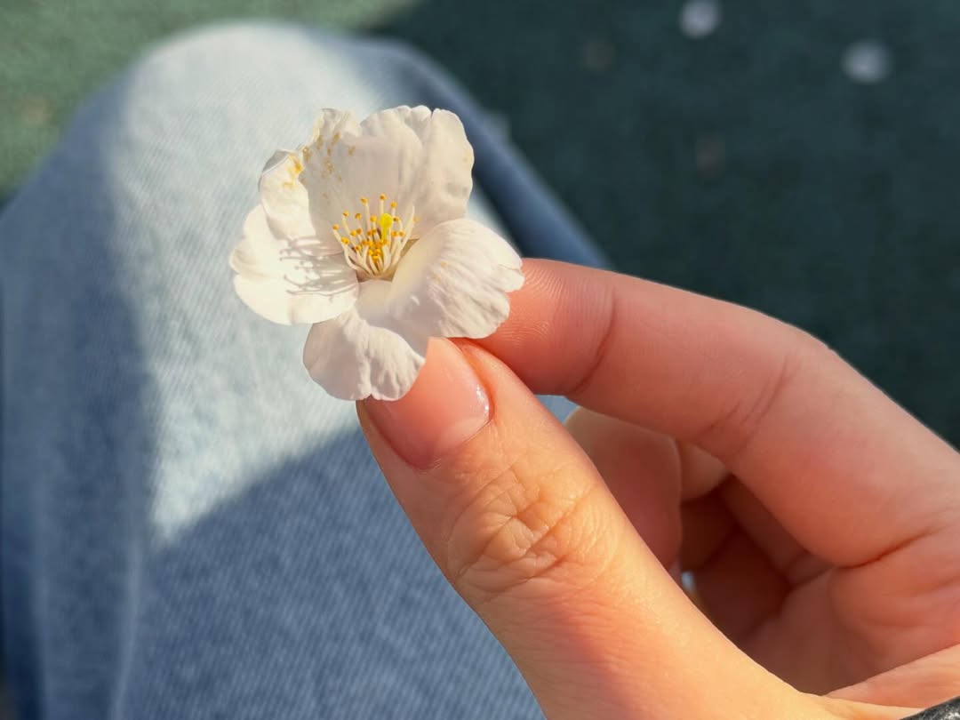 [잡담] 260407 안유진 인스타 업뎃 | 인스티즈