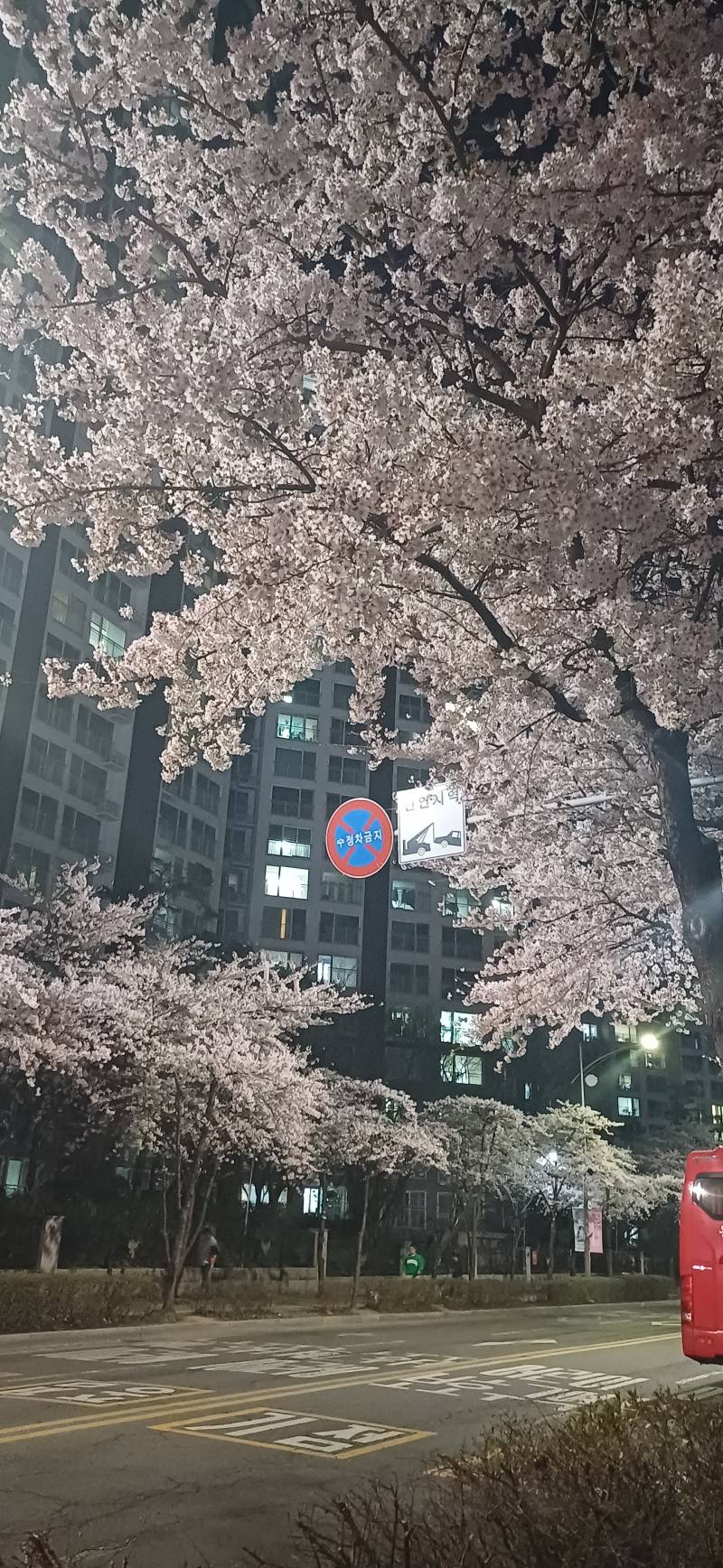 [잡담] 퇴근길인데 내일 비온대서 꽃사진 왕창찍음 | 인스티즈