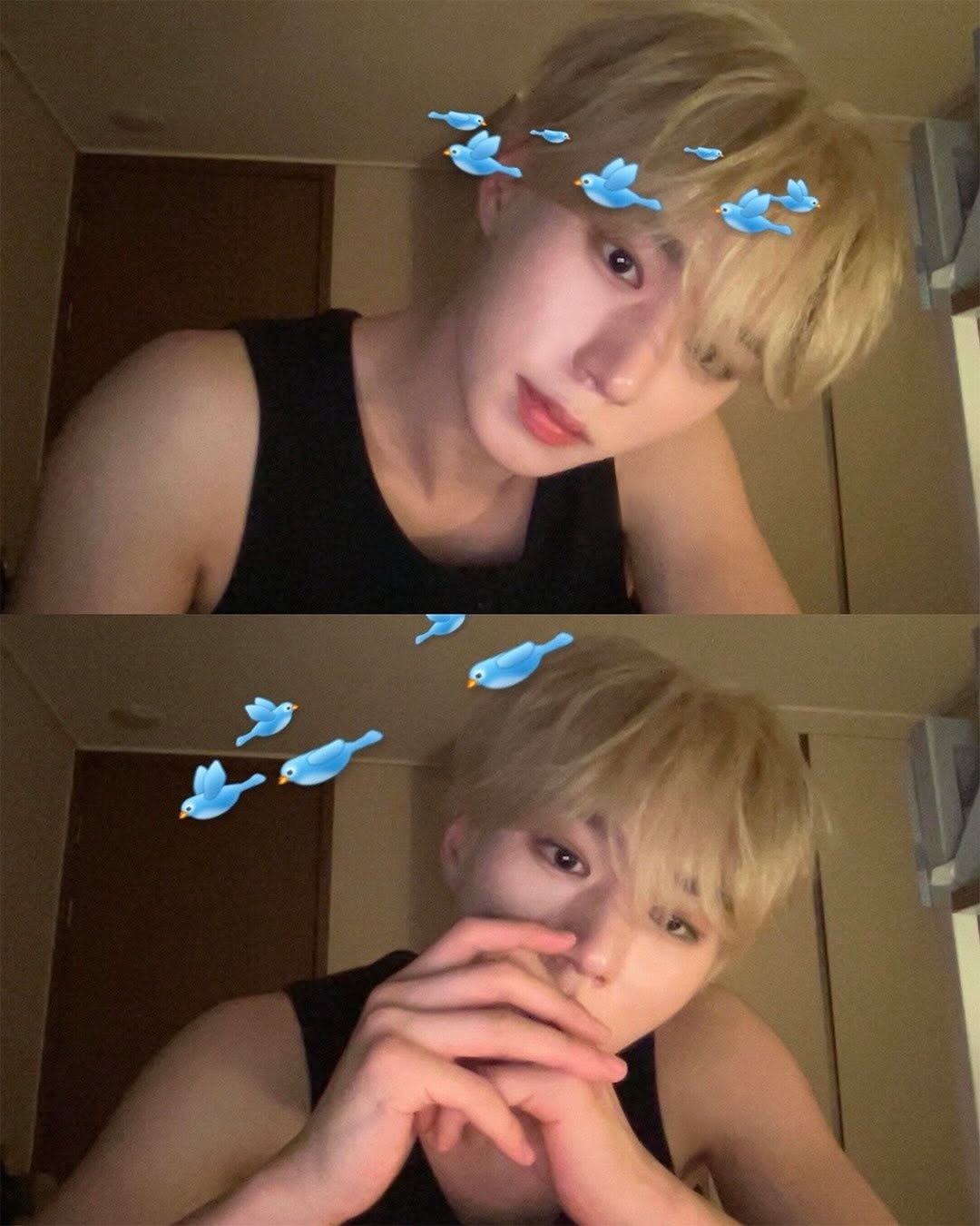 [잡담] 이제 자랑한다 알디원 준서 금발 ㄹㅇ 이쁘고요 | 인스티즈