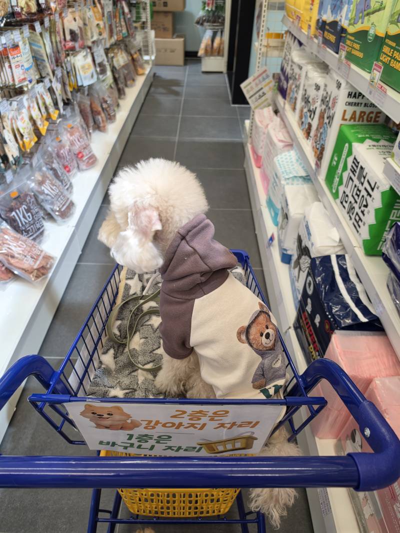 [잡담] 우리동네 무인강아지용품샵에 엄청난거 있음ㅋㅋㅋㅋㅋ | 인스티즈