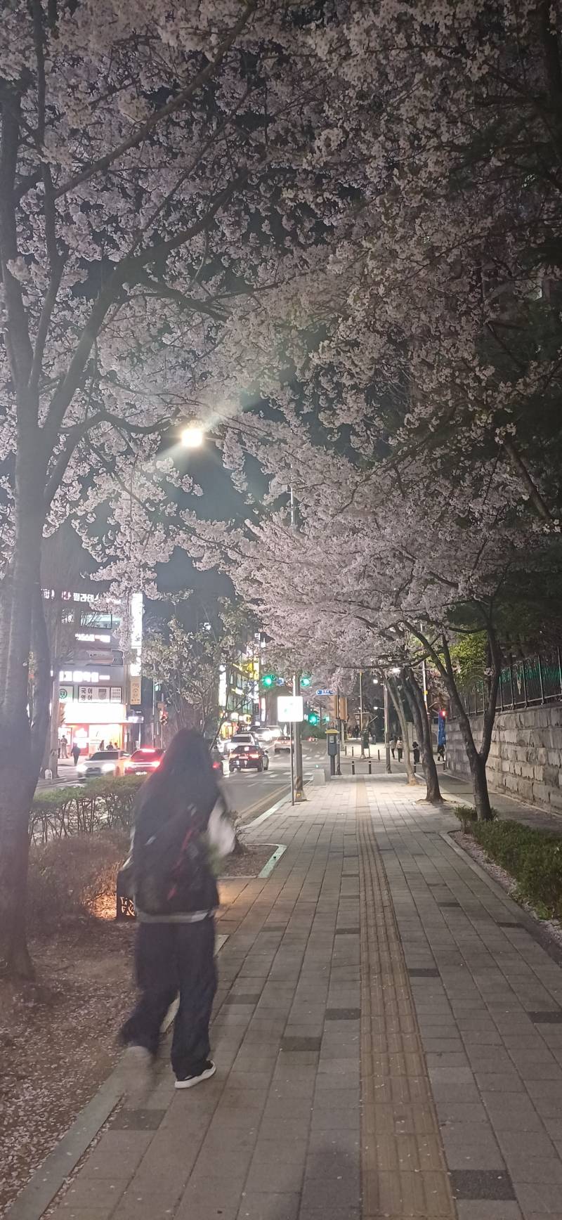 [잡담] 퇴근길인데 내일 비온대서 꽃사진 왕창찍음 | 인스티즈