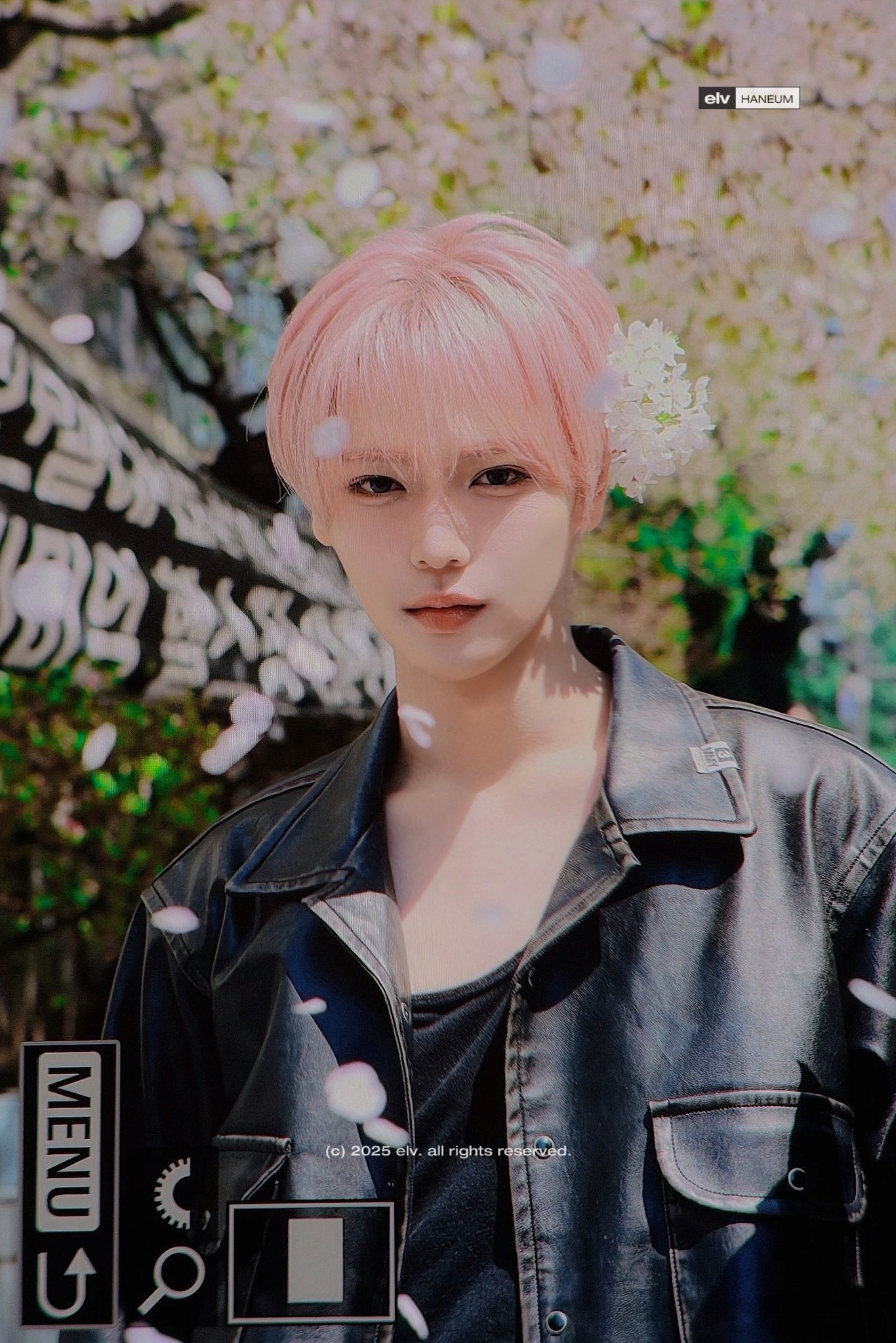 [잡담] 장한음 핑머 ㄹㅈㄷ | 인스티즈