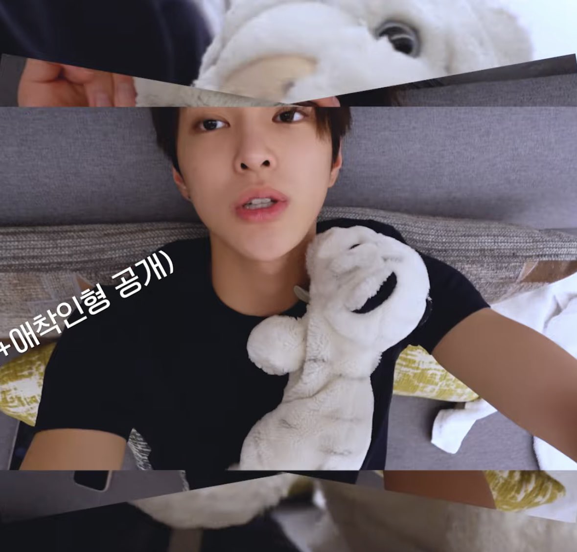 [잡담] 이번 앨범 컨포에 등장한 코르티스 건호 개인 소장품들ㅋㅋ | 인스티즈