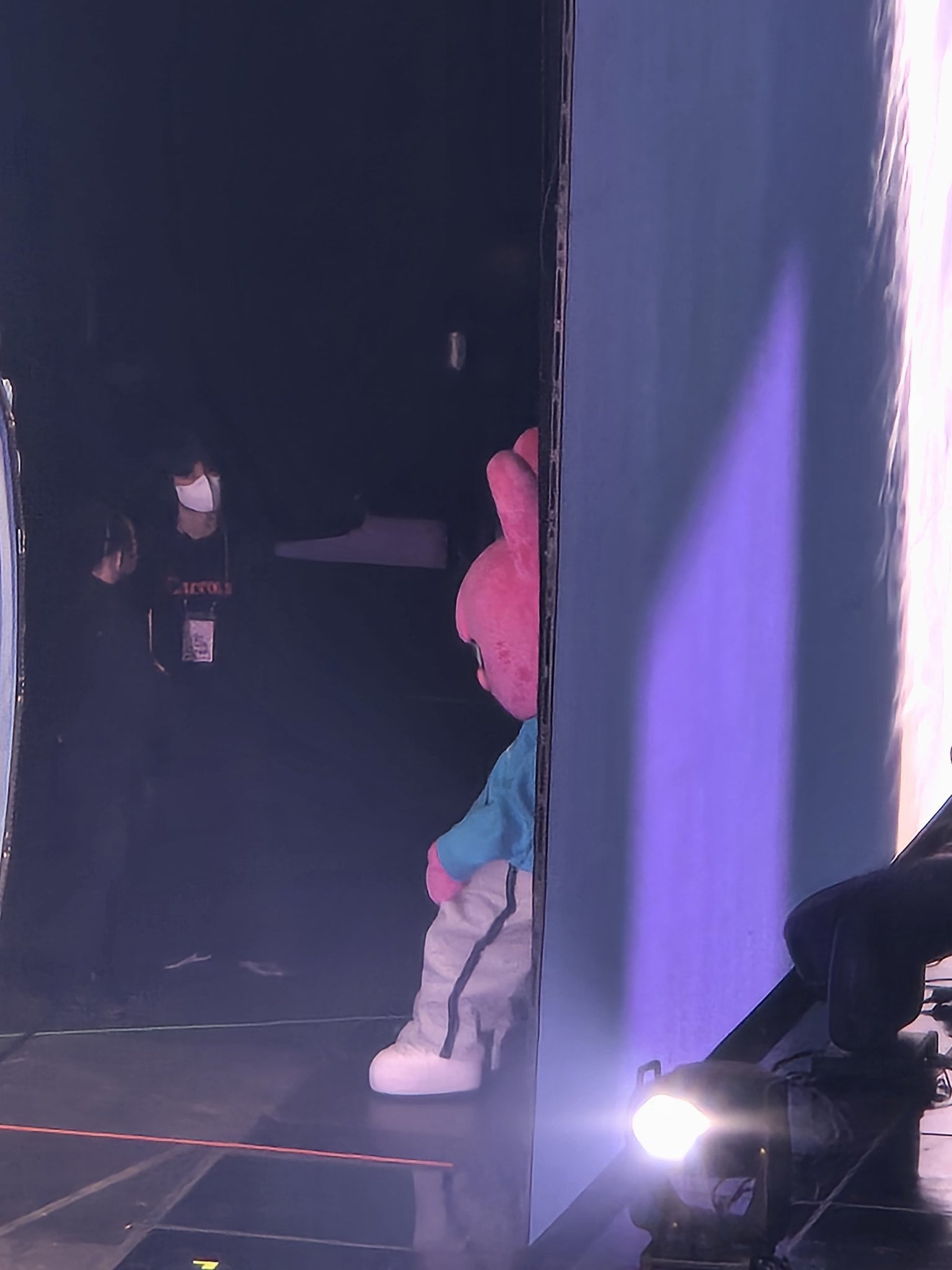 [잡담] ㅅㅋㅈ 팬미 인형탈 현실.ver 짤 개웃김 | 인스티즈