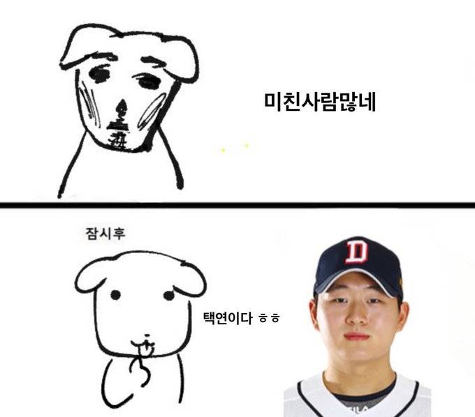 도리 | 인스티즈