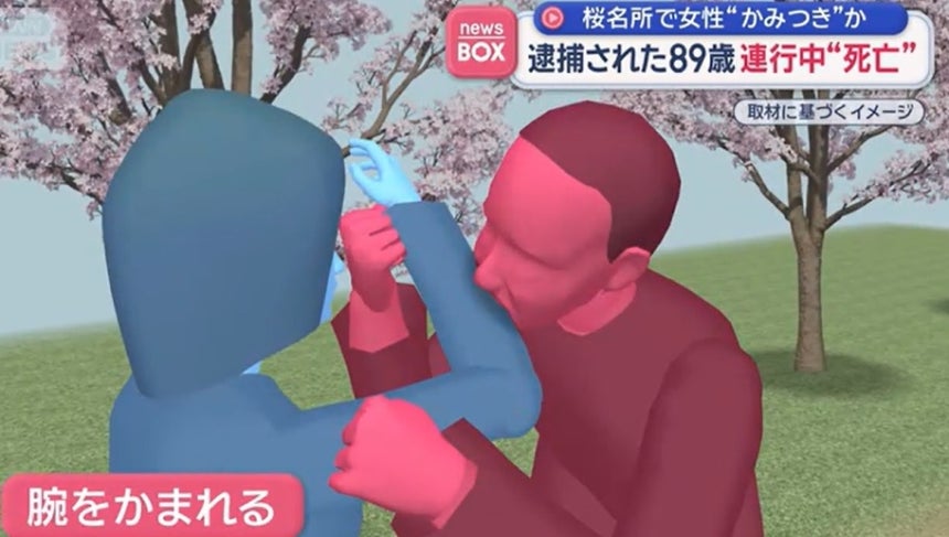 [정보/소식] 벚꽃 구경 여성 깨문 80대 노인 갑자기 사망…경찰 '당혹' | 인스티즈
