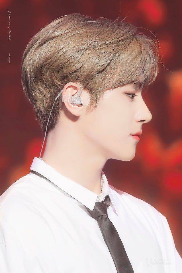 가끔 성형인줄 아는데 그냥 타고난 코인 이렇게 높이면 죽는 코 (이높죽코) | 인스티즈