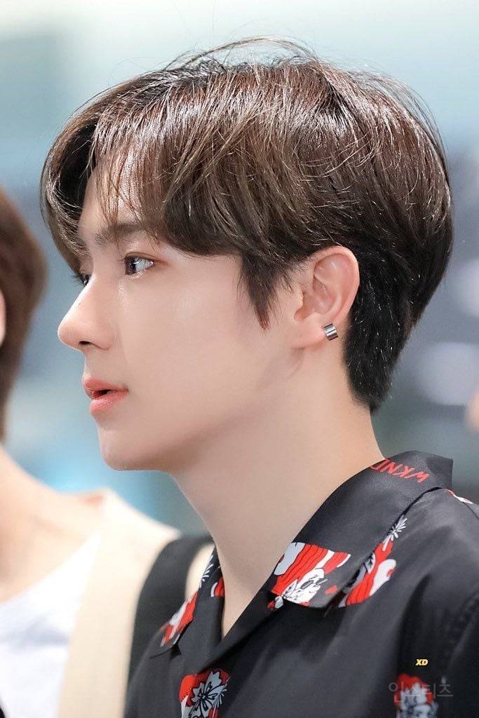 가끔 성형인줄 아는데 그냥 타고난 코인 이렇게 높이면 죽는 코 (이높죽코) | 인스티즈