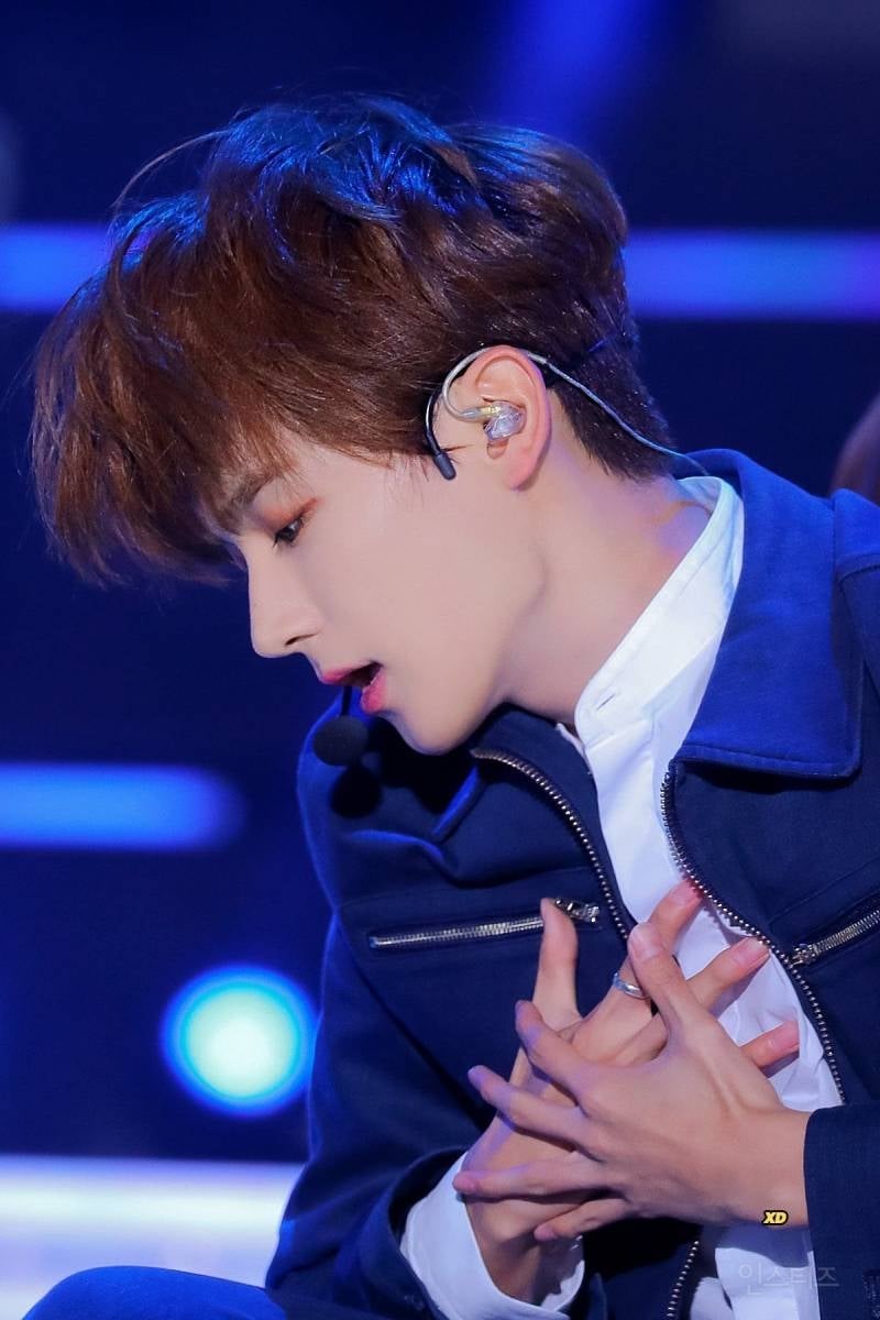 가끔 성형인줄 아는데 그냥 타고난 코인 이렇게 높이면 죽는 코 (이높죽코) | 인스티즈