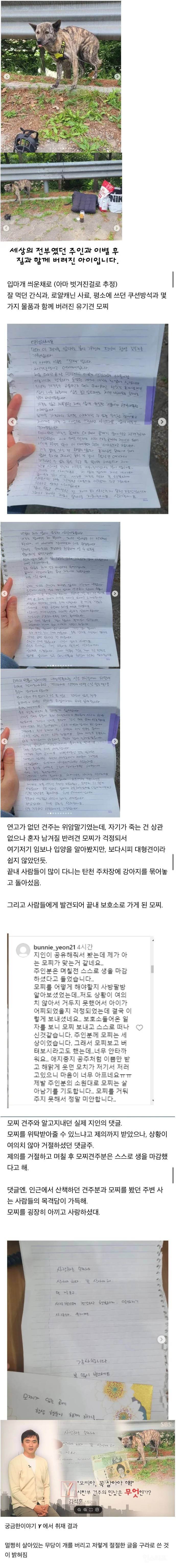 탄천주차장 버려진 강아지 후기 | 인스티즈