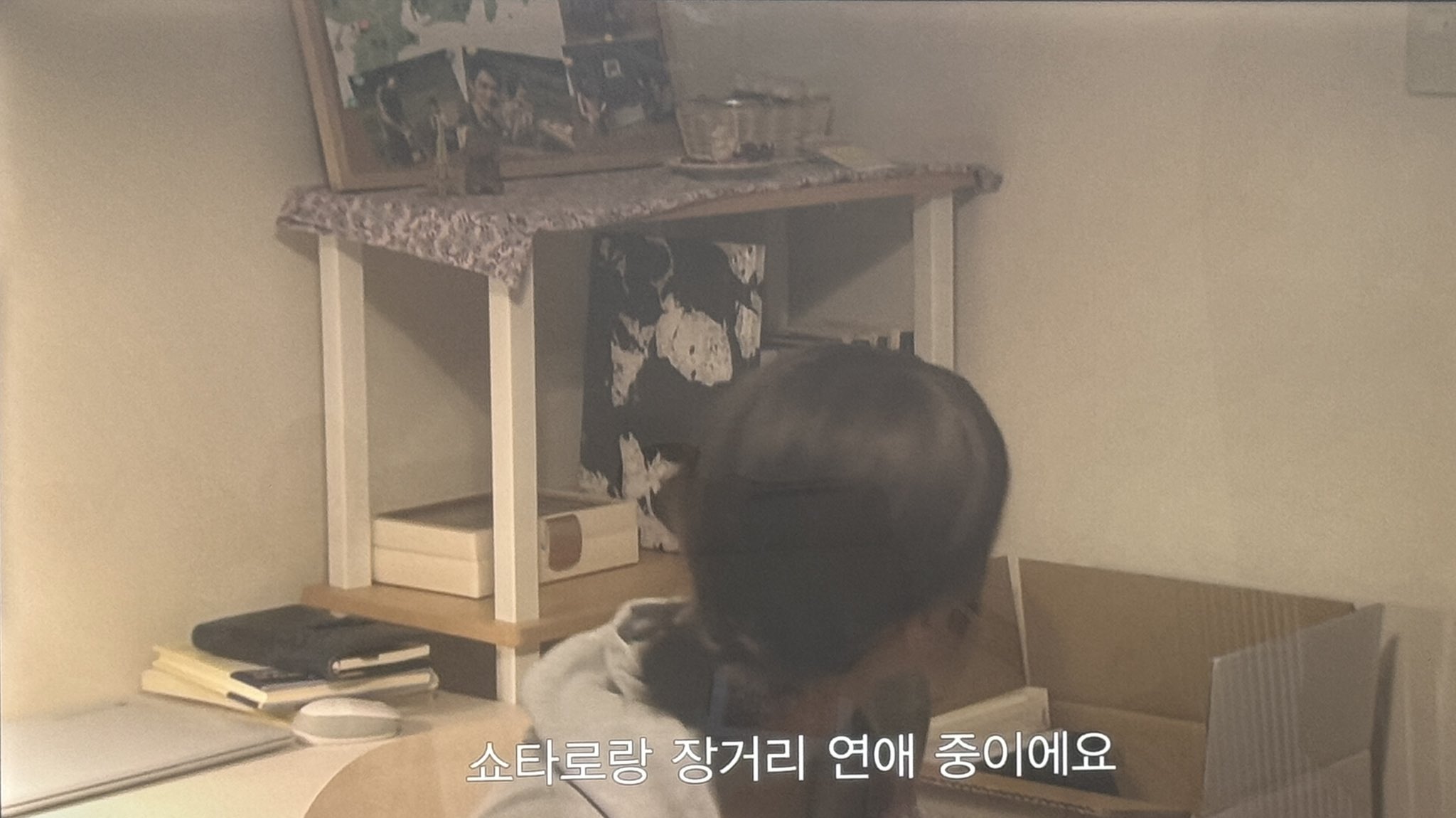 [잡담] 쇼타로 팬 있니 | 인스티즈