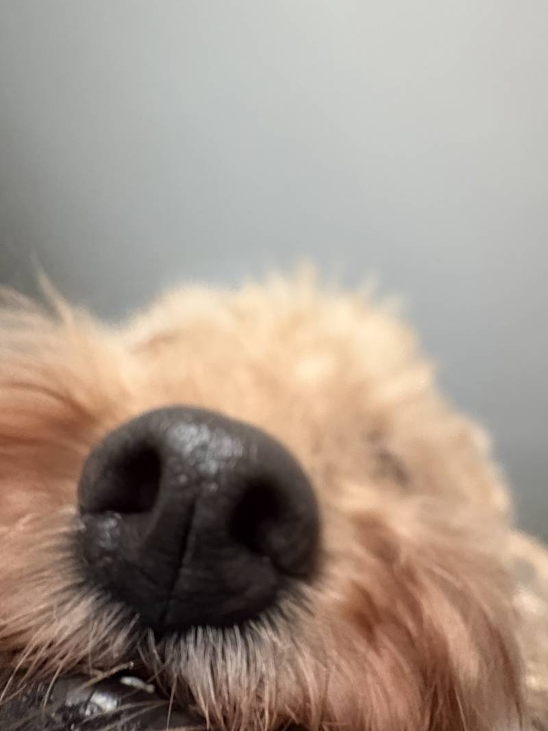 [잡담] 아침부터 촉촉코 공격 | 인스티즈