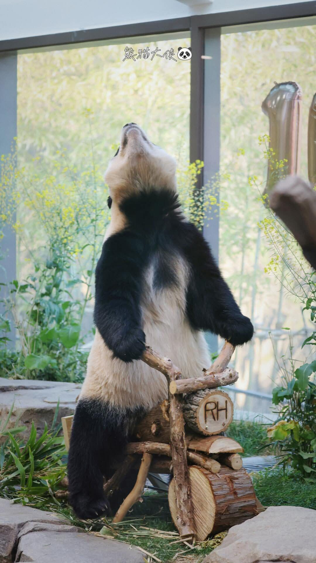 [잡담] 이게 ai가 아니라니 | 인스티즈