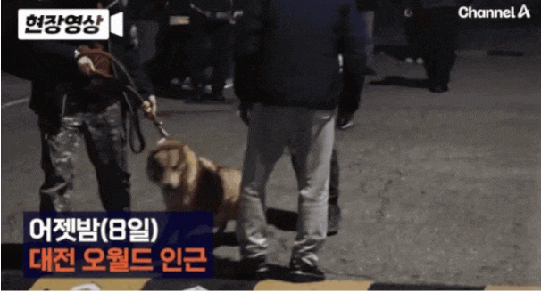 [잡담] 아니 오월드 늑대들 걍 너무 댕댕이들 인데..... | 인스티즈