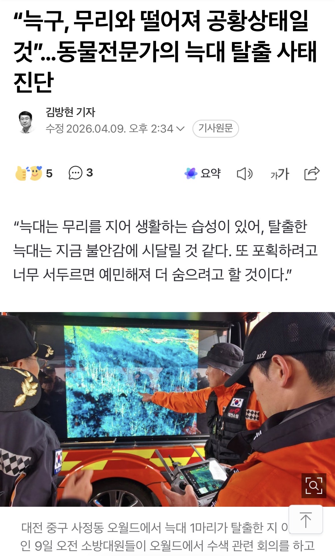 [정보/소식] "늑구, 무리와 떨어져 공황상태일 것”…동물전문가의 늑대 탈출 사태 진단 | 인스티즈