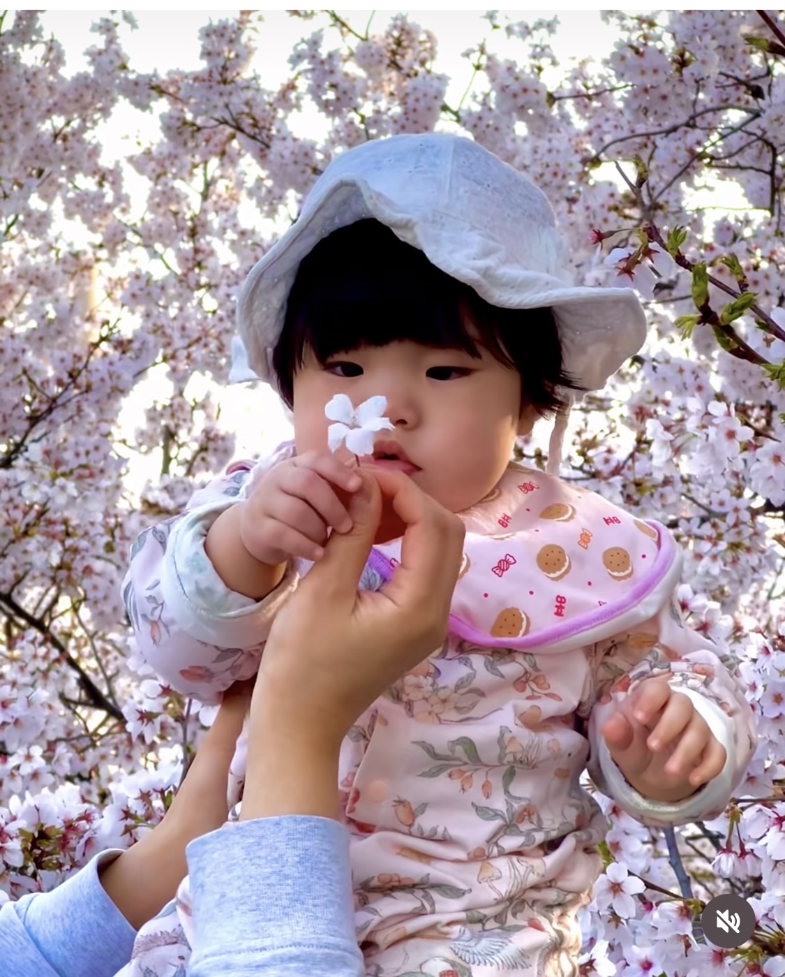 [잡담] 앜ㅋ 곽정욱 박세영 커플 딸 얼굴 공개했네 | 인스티즈