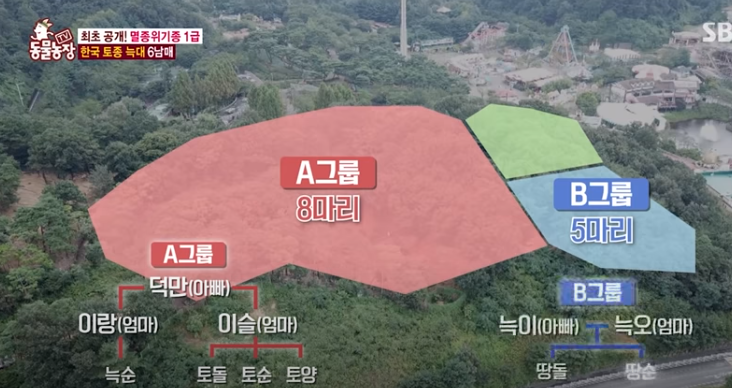 [잡담] 늑대 넓게 살았었구나 | 인스티즈