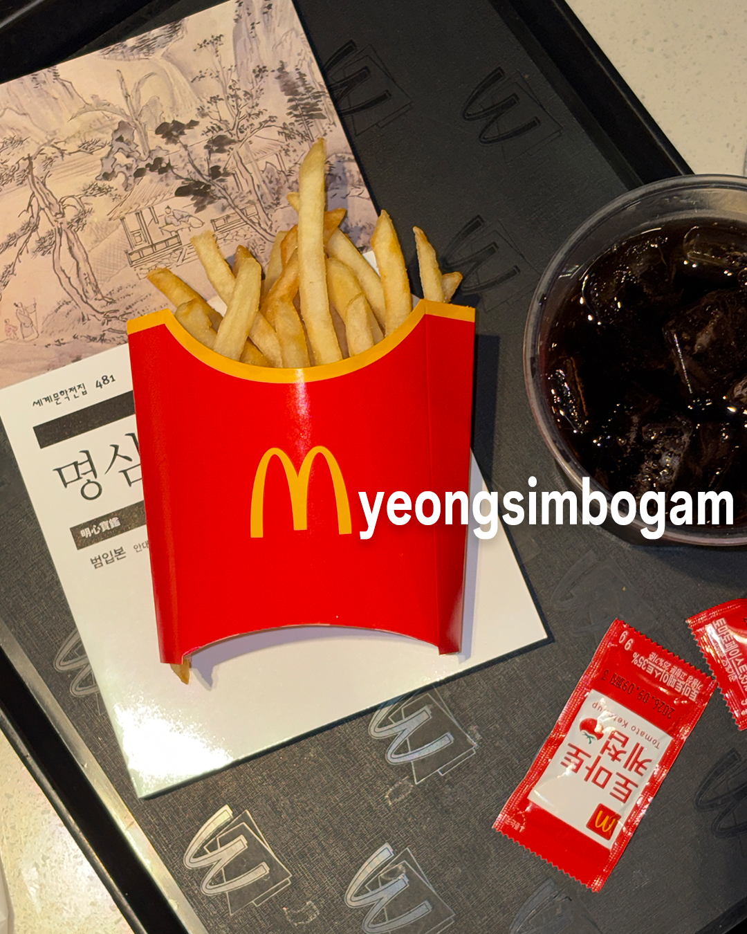 [잡담] 헐 민음사가 감튀 인증한거봐 진짜 힙하다ㅋㅋㅋㅋ | 인스티즈