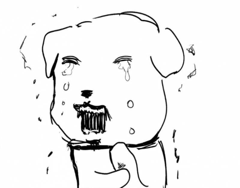 [잡담] 가나디 이 캐릭터는 왜 인기 많은거야??? | 인스티즈