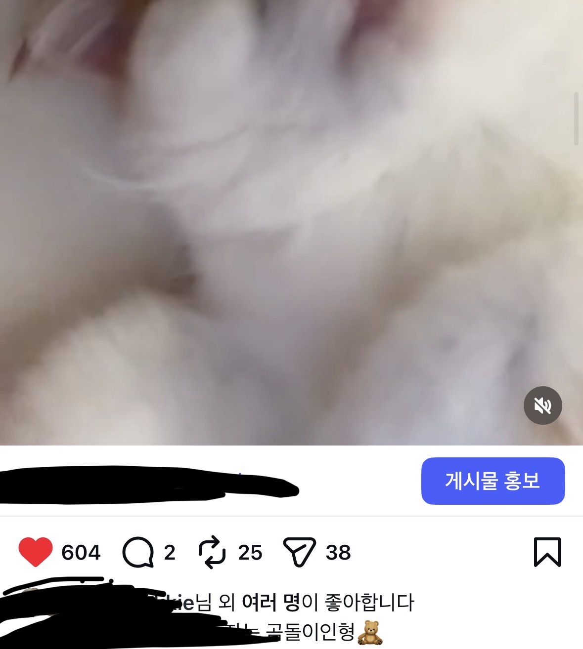 [마플] 나도 우리고양이 모에화 곰돌이인데🧸 | 인스티즈