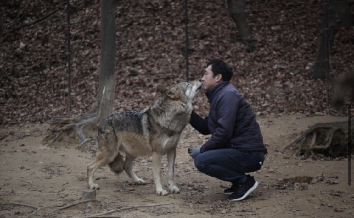 [잡담] 헐 늑구 사육사님 유명한분이잔아 | 인스티즈
