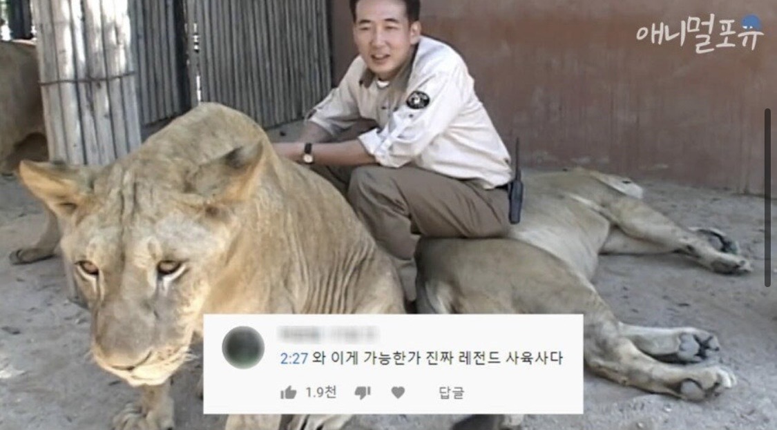 [잡담] 헐 늑구 사육사님 유명한분이잔아 | 인스티즈