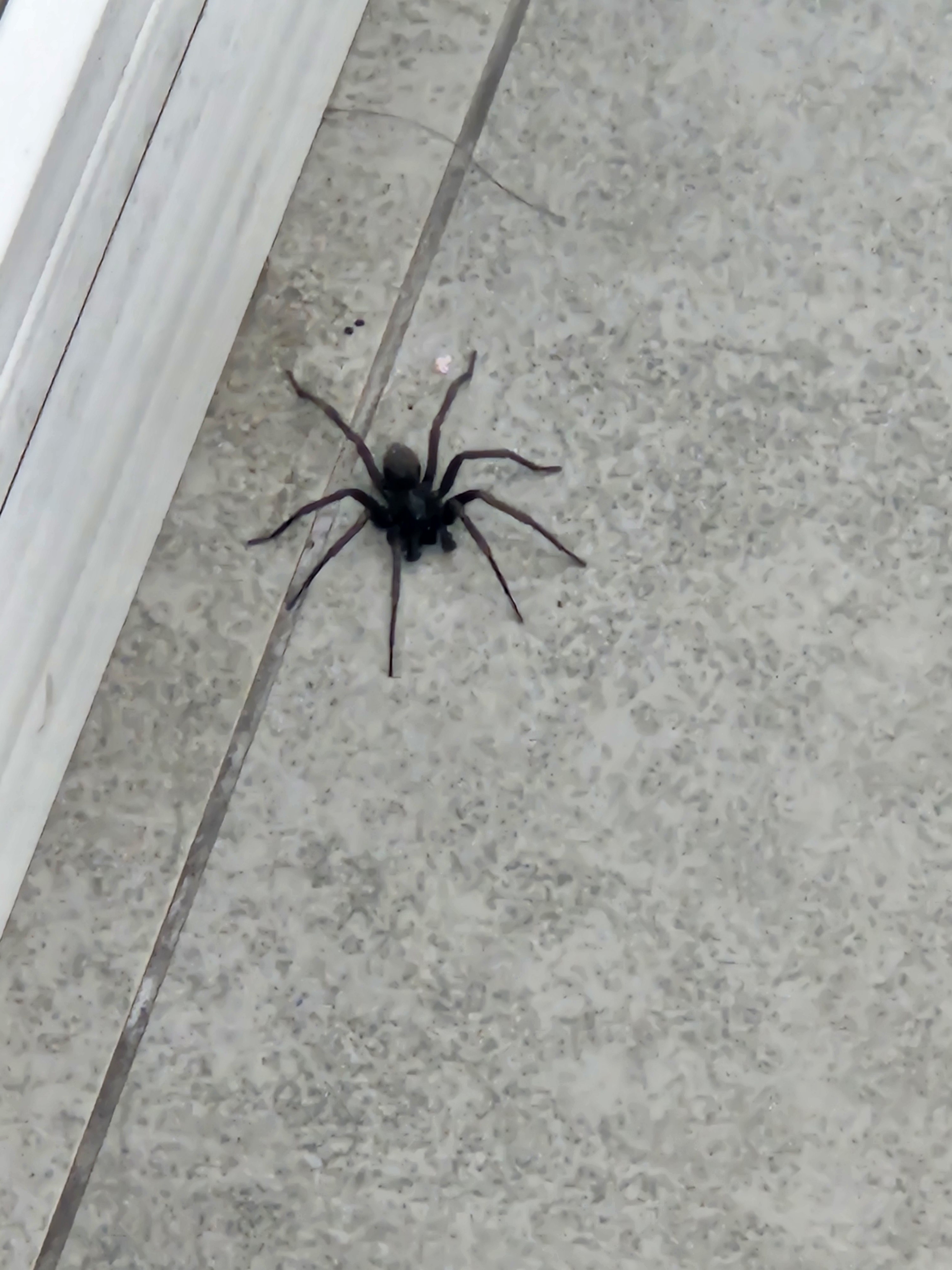 [잡담] 하 익들아 편알중인데 ㅎㅇㅈㅇ | 인스티즈