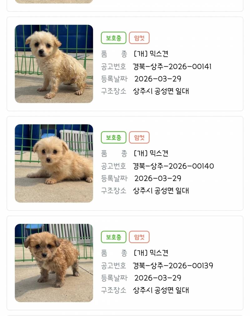 [잡담] 견상 잘 보는 익 있냐 | 인스티즈