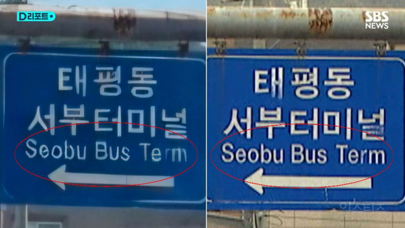 동물원 탈출 늑구 목격 사진들은 ai 생성 이미지.jpg | 인스티즈