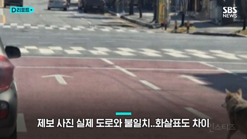 동물원 탈출 늑구 목격 사진들은 ai 생성 이미지.jpg | 인스티즈