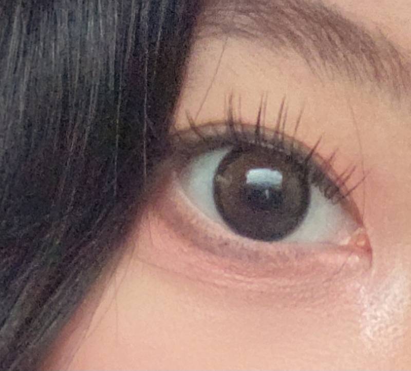 [잡담] 렌즈 이거 개눈같아보임?? ㅠㅠ | 인스티즈