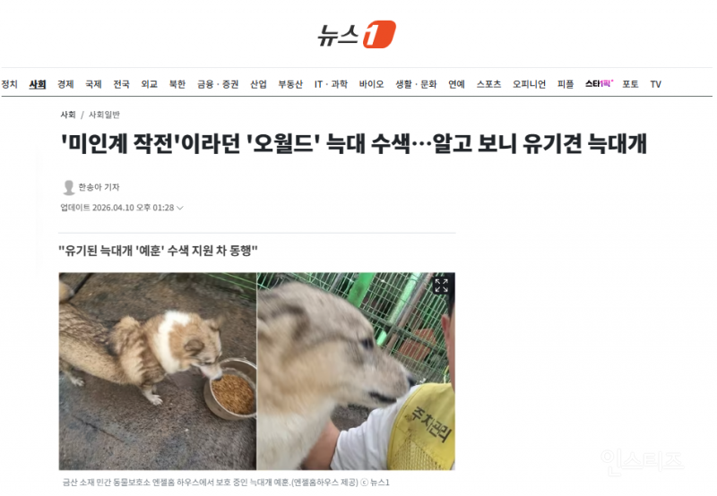 '미인계 작전'이라던 '오월드' 늑대 수색…알고 보니 유기견 늑대개 | 인스티즈