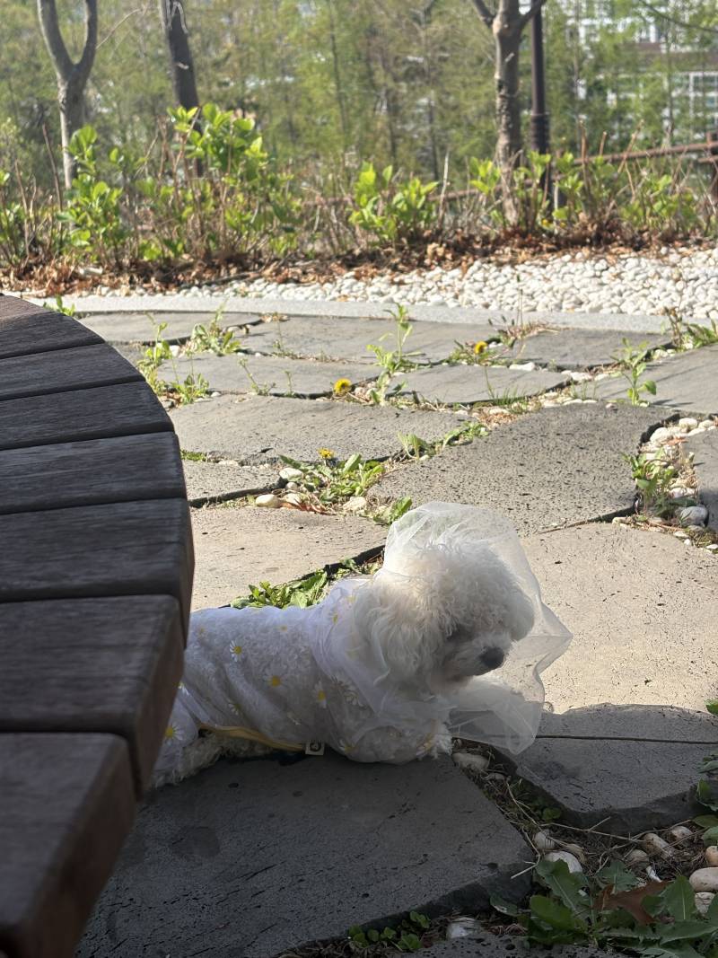 [잡담] 얘는 나오고싶다고 징징거렸으면서 | 인스티즈