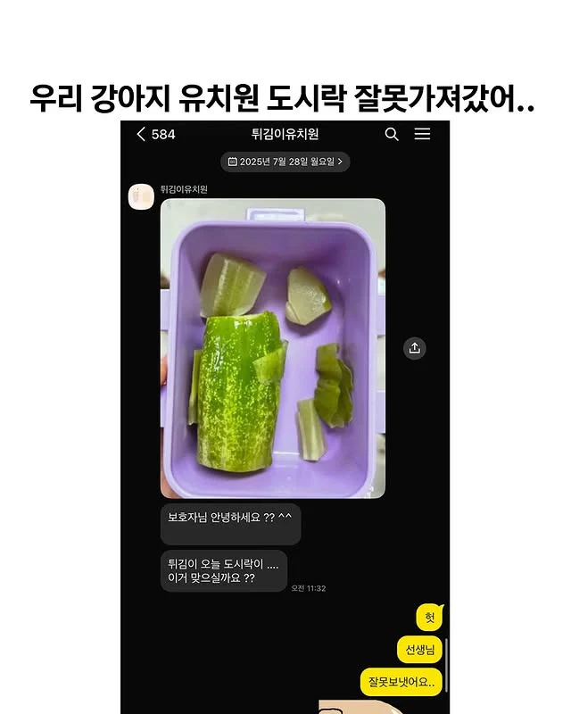 강아지를 때리고 견주에게 영상을 보낸 강아지 유치원 | 인스티즈