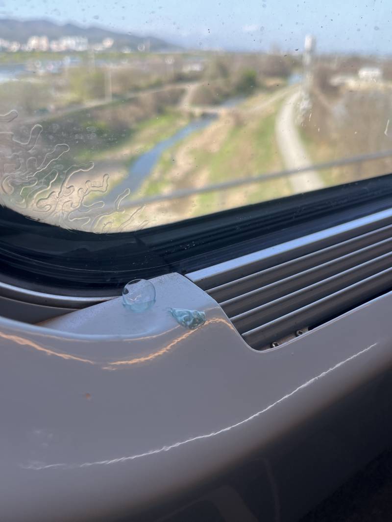 [잡담] 누가 Ktx 창문쪽에 쓰던 콘텐트렌즈 버려놓음;;; | 인스티즈