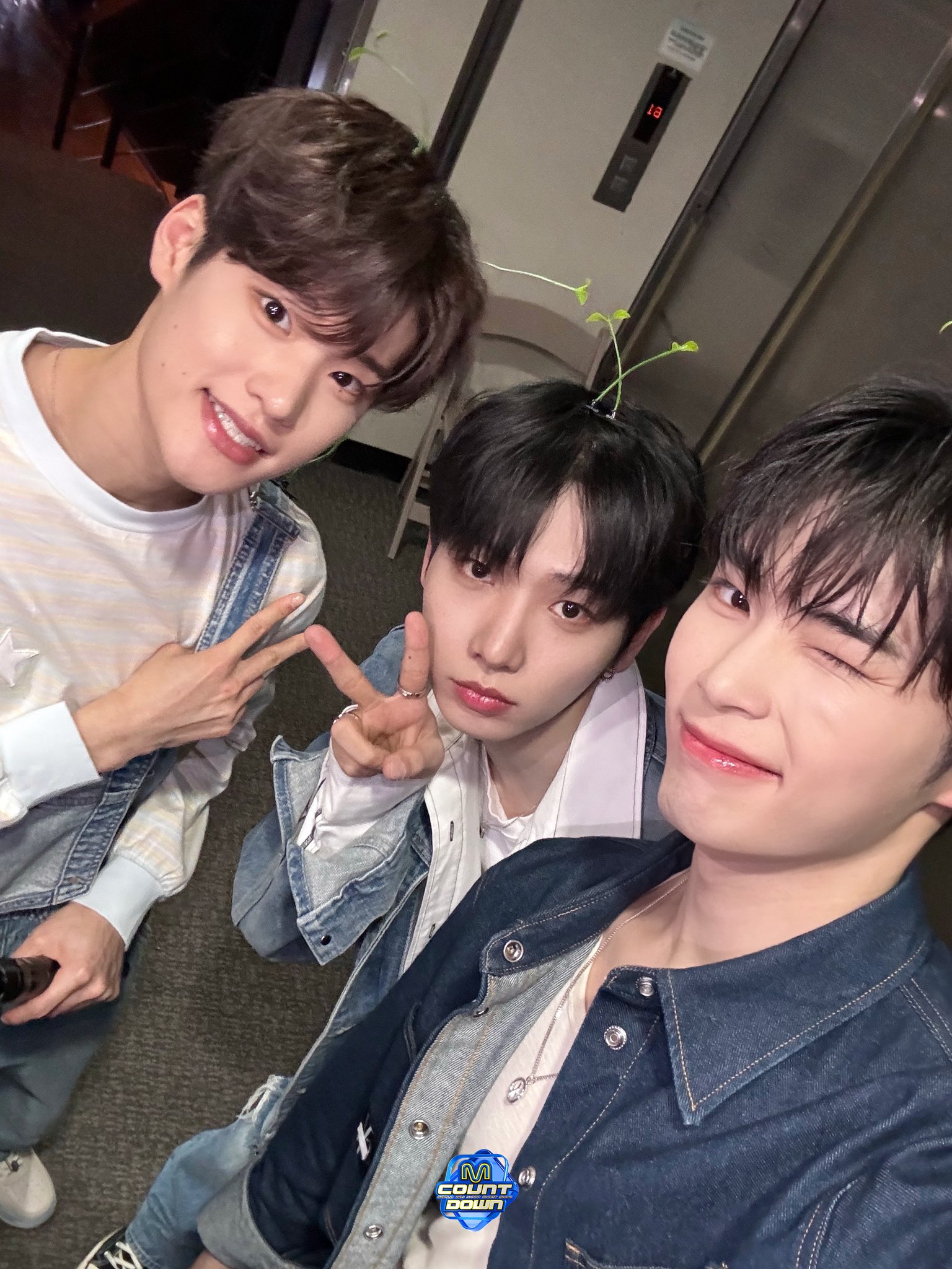 [잡담] 2년전 오늘 멍또캣 | 인스티즈