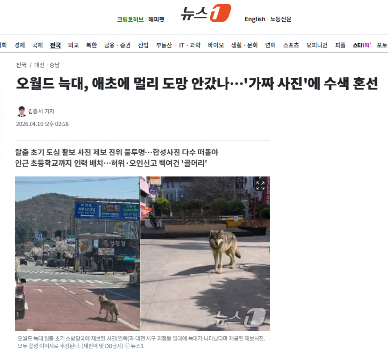 오월드 늑대, 애초에 멀리 도망 안갔나…'가짜 사진'에 수색 혼선 | 인스티즈