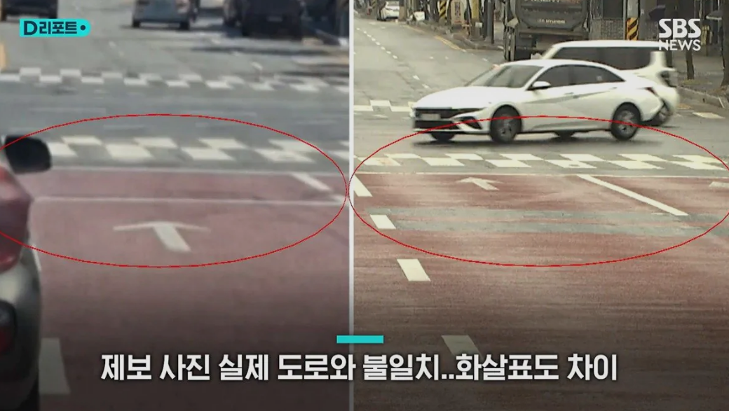 [잡담] 와 늑구 이 사진 ai였던거 알았어??? | 인스티즈