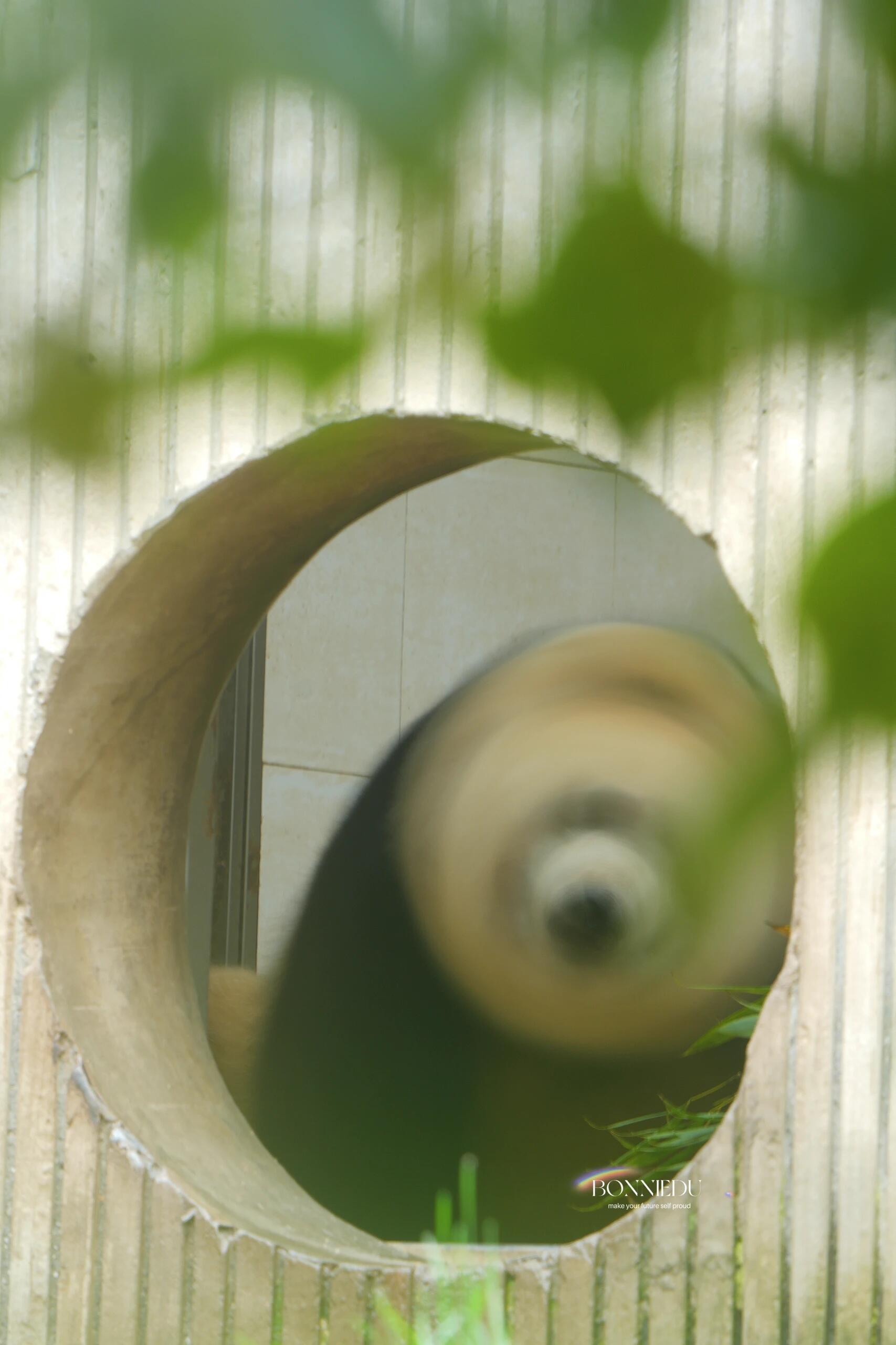 [잡담] 혹시 드릴 필요한 사람 있어? | 인스티즈