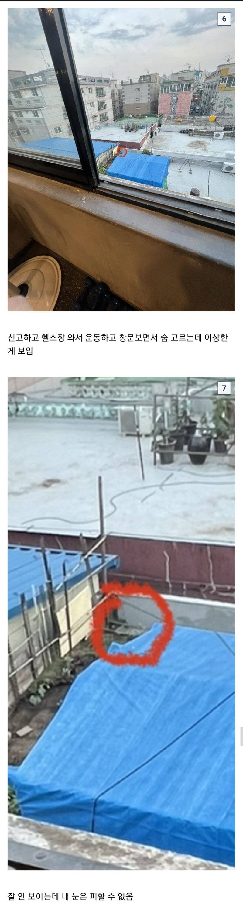하루에 양귀비를 두번본 식물갤러 | 인스티즈