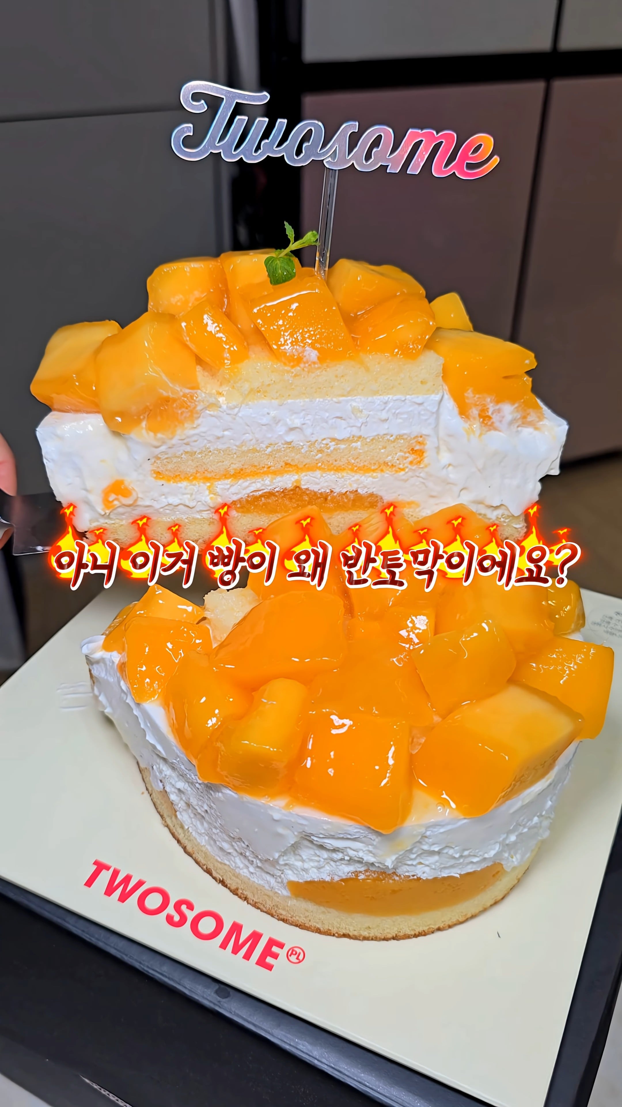 [정보/소식] 투썸 망고생 단면 | 인스티즈