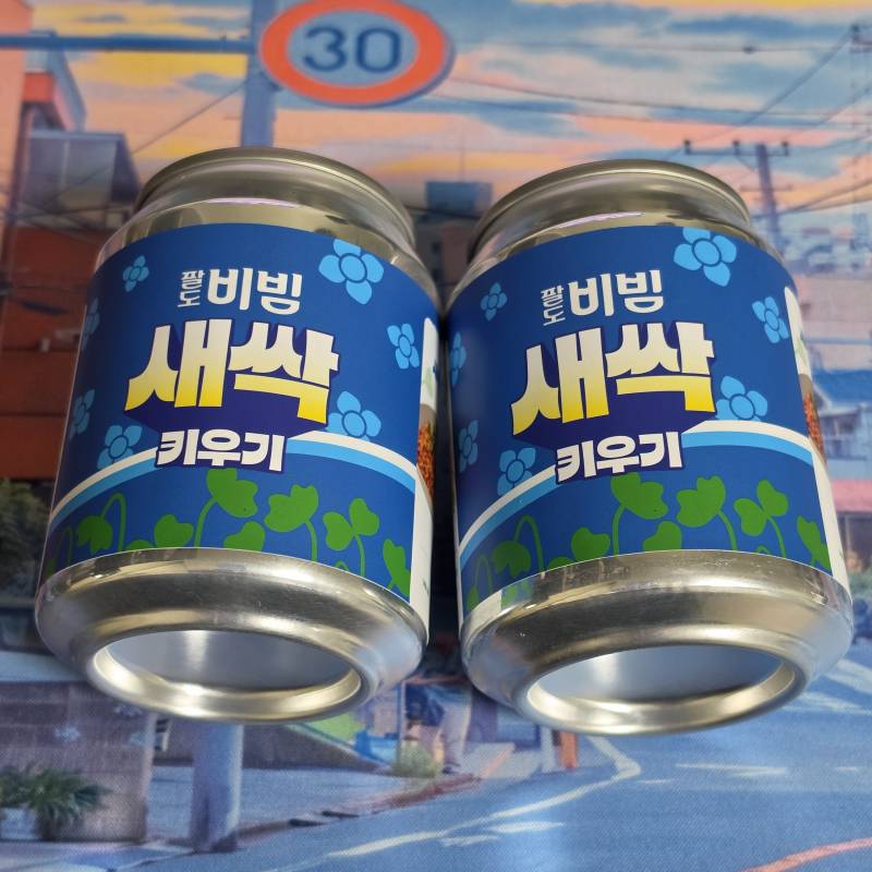 [잡담] 익들 팔도에서 새싹 키우기 나온 거 알아? | 인스티즈