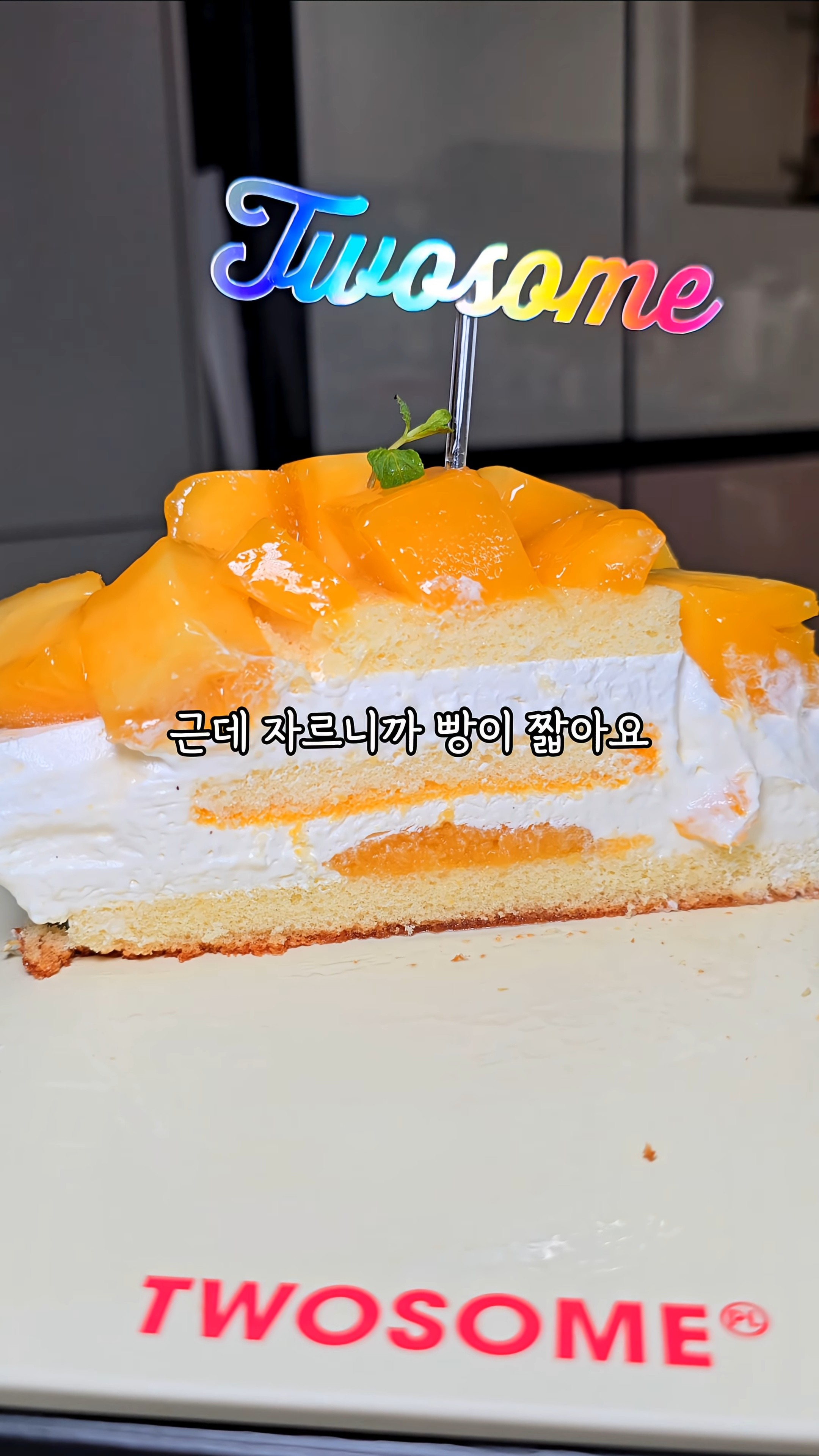 [정보/소식] 투썸 망고생 단면 | 인스티즈