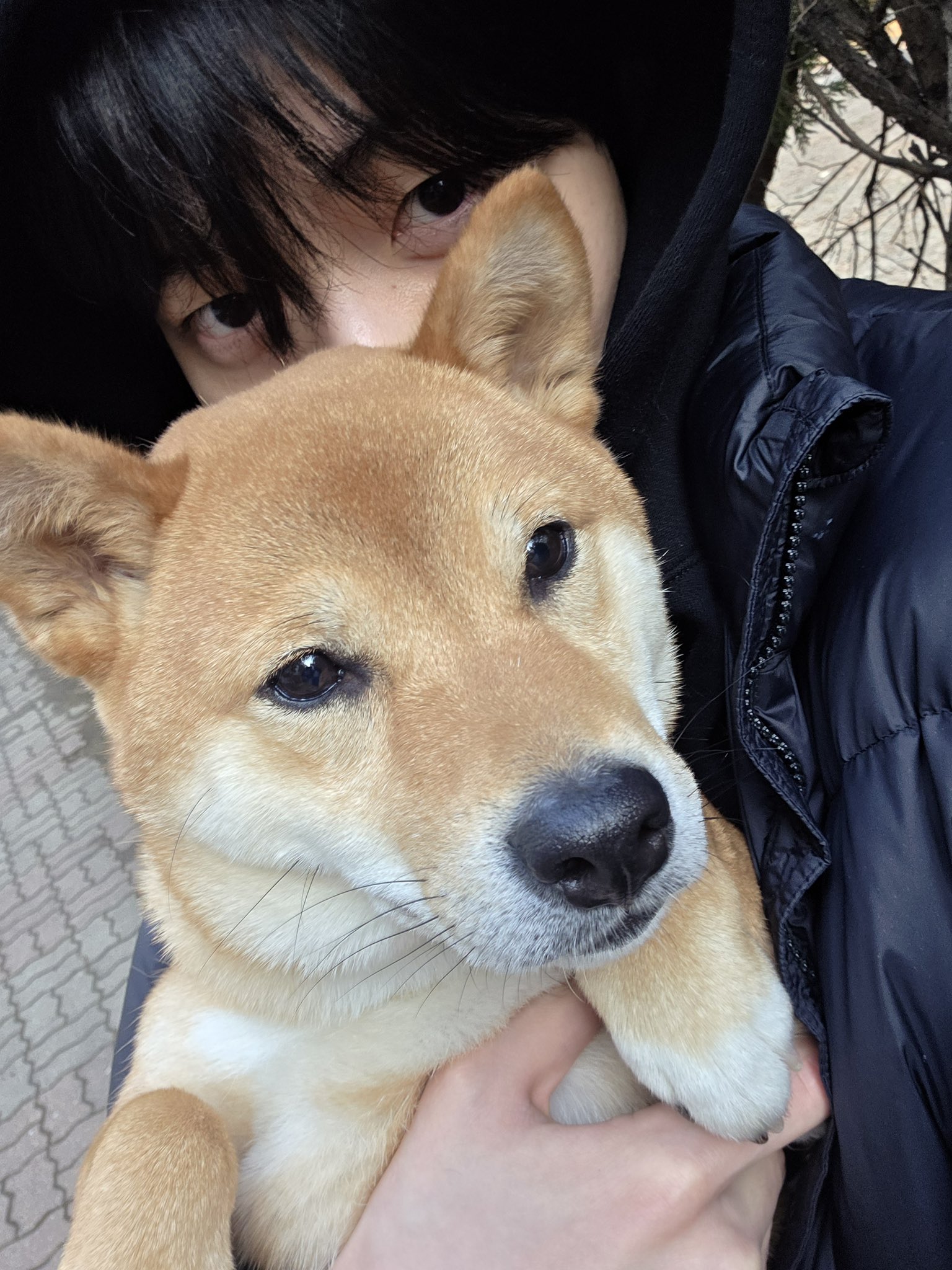 [잡담] 인티에ㅋㅋ 수빈이네 토리 사진 올리면 댓글로ㅋㅋㅋ | 인스티즈